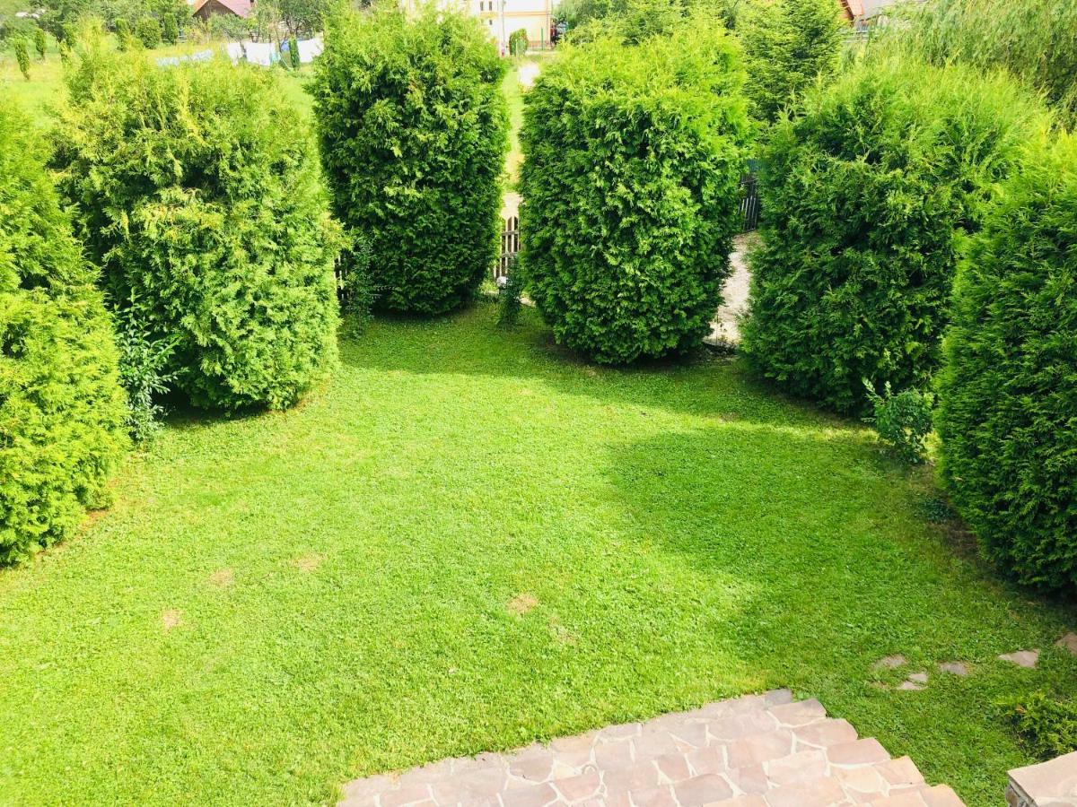 Homy Family House Villa Bran  Bagian luar foto