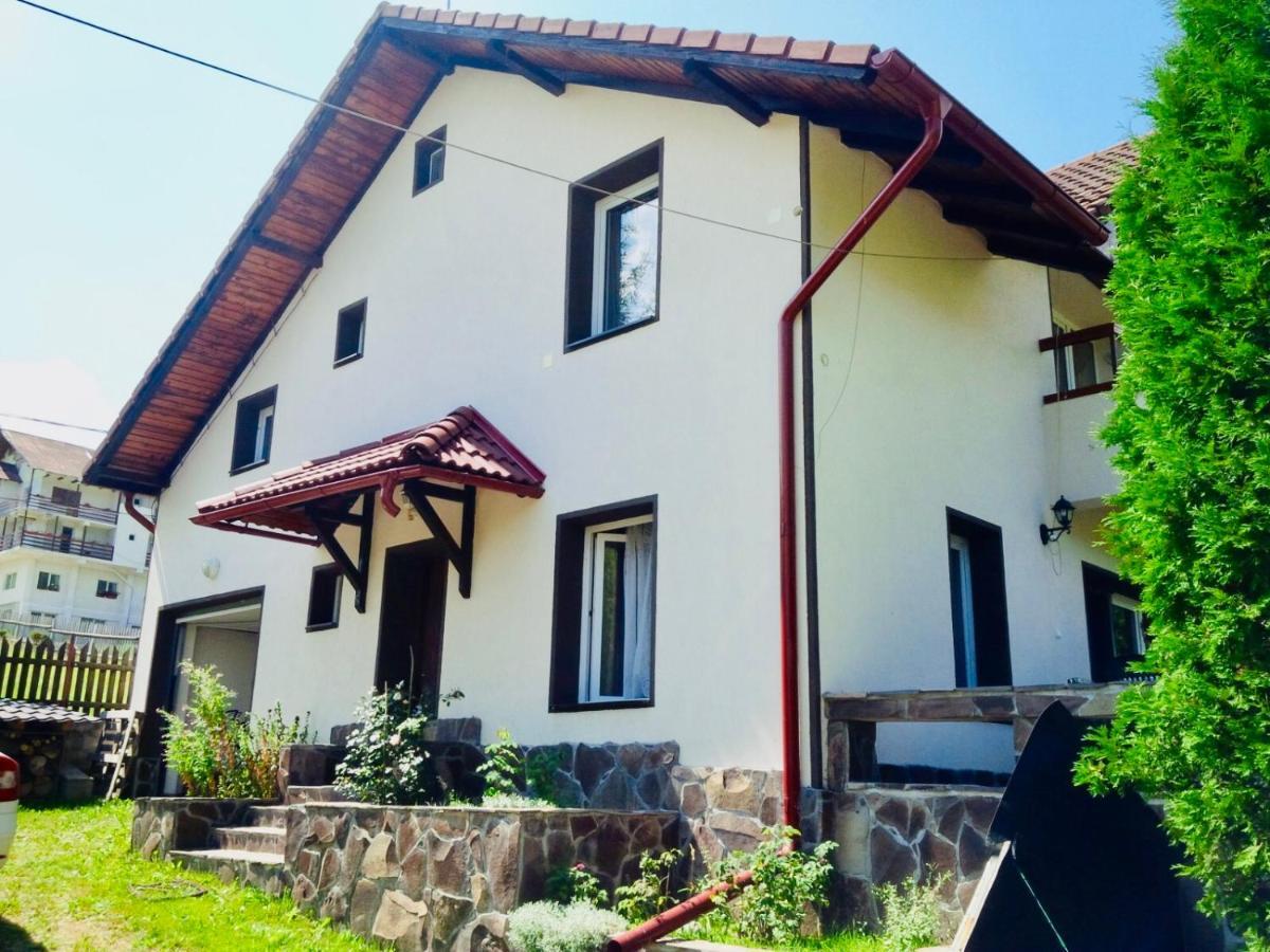 Homy Family House Villa Bran  Bagian luar foto